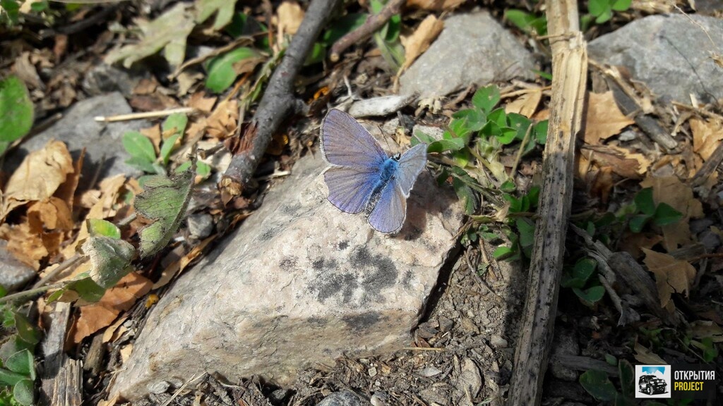 43391932_702601176764560_1310691763811254272_o