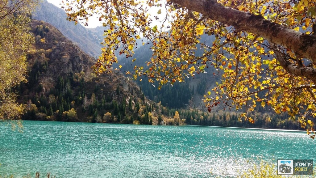 47182753_308984593279965_1888880626270994432_o