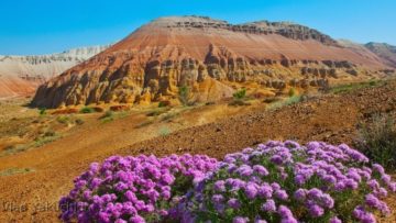 Парк Алтын Эмель