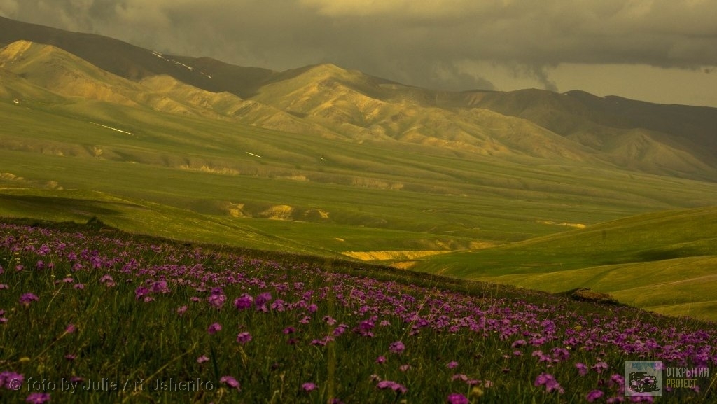 Высокогорное плато Ассы около Алматы