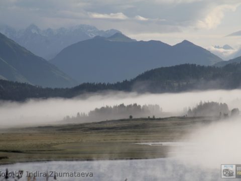 Туманный Алтай