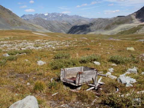 Панорама Алтайских гор