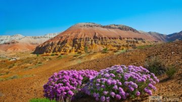 Джип-тур Алтын - Эмель и Чарынские Каньоны (3 дня)