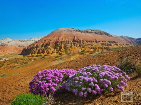 Джип-тур Алтын - Эмель и Чарынские Каньоны (3 дня)