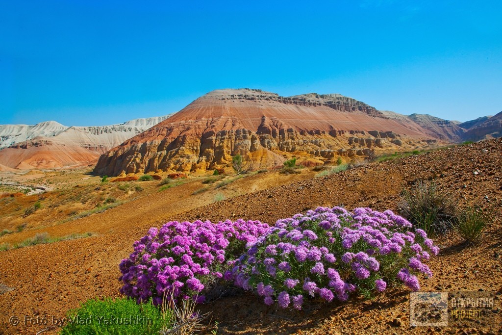 Алтын Эмель весной