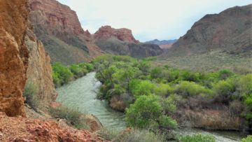 Каньоны Жетысу: Чарын, Бестамак, Темирлик (4 дня)