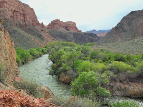 Каньоны Жетысу: Чарын, Бестамак, Темирлик (4 дня)