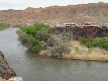 Река Чарын весной