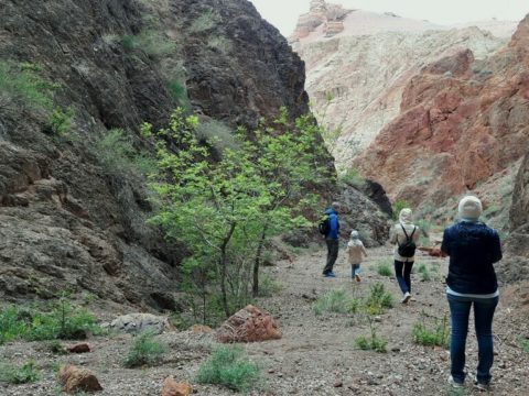 Прогулка по Чарынскому каньону