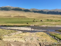 Джип-тур на плато Асы