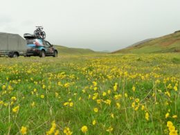 Весна на плато Асы