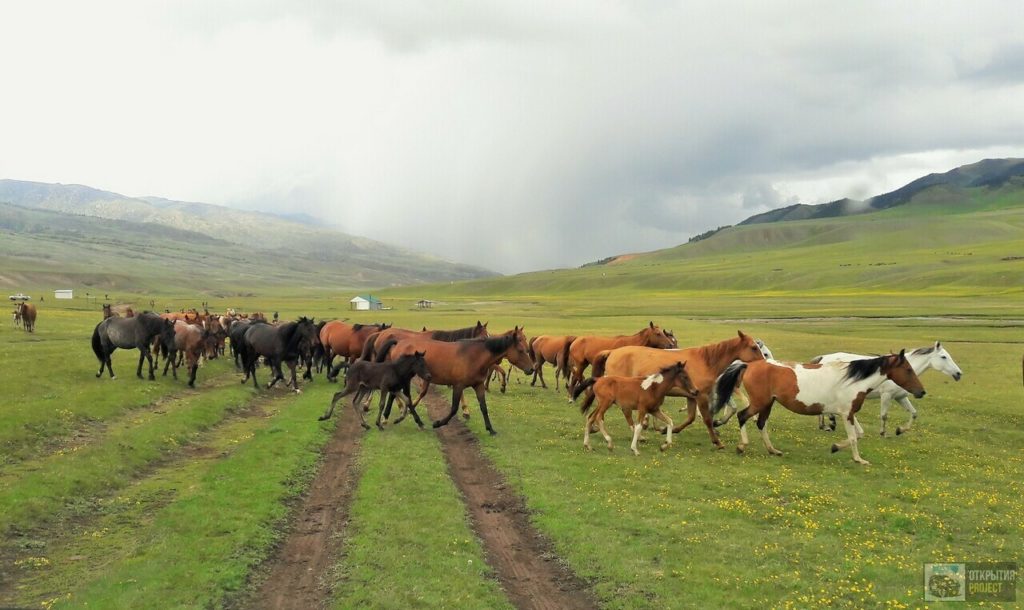 Плато Асы Казахстан