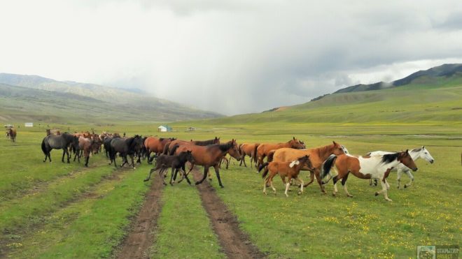 Высокогорное плато Ассы около Алматы