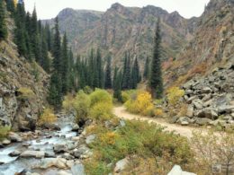 Ущелье Тургень