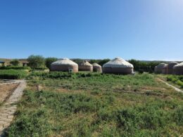 Этноаул Когез