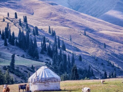 Юрта в долине реки Текес