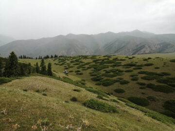 Долина реки Осек (Усек). Джунгария