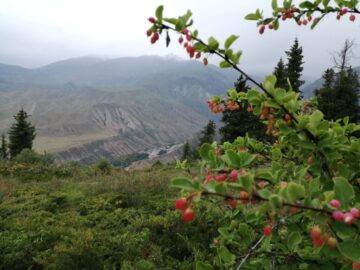 Джунгария. Казахстан