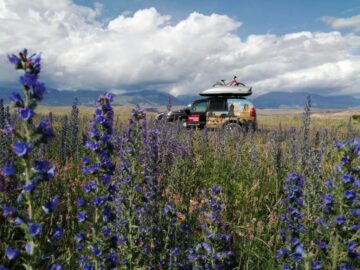 На фоне гор Джунгарский Алатау