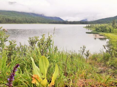 Казахстанский Алтай, ВКО