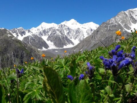 Казахстанский Алтай. Треккинг у подножия Белухи.