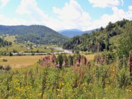 Панорама на реку Уба, Восточный Казахстан