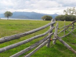 Окрестности озера Маркаколь