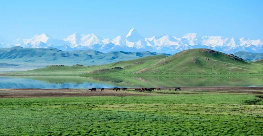 озеро Тузколь Казахстан
