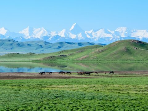 озеро Тузколь Казахстан