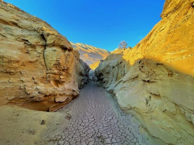 парк Алтын эмель в Казахстане