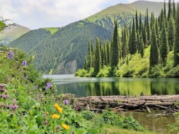 среднее озеро кольсай фото
