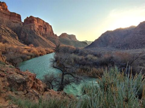 Дикий Чарын — авторский тур в труднодоступную часть каньона